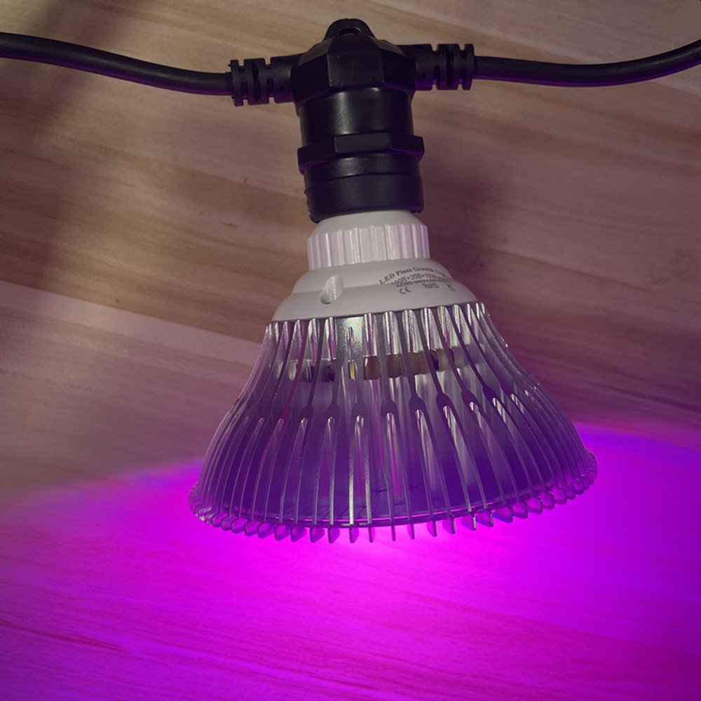 10 メートルケーブル LED ストリング商用グレード防水  - Outdoor Lighting Bollards のレビューと価格